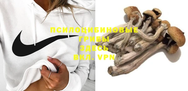 ГАЛЛЮЦИНОГЕННЫЕ ГРИБЫ Алексеевка