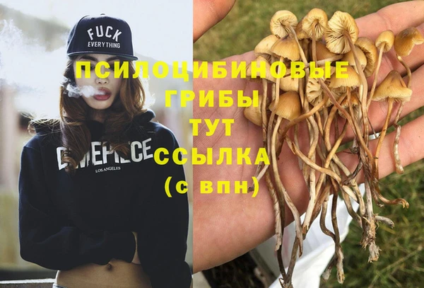 скорость Алзамай