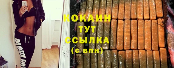 шишки Сосновоборск