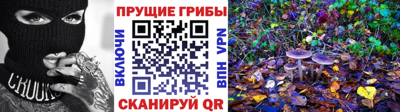 хочу наркоту  Бронницы  Псилоцибиновые грибы ЛСД 